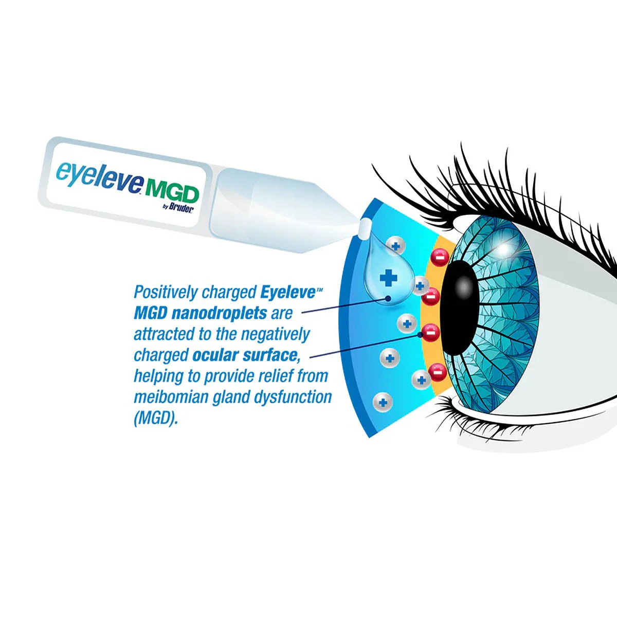 Eyeleve MGD Eye Drops, Preservative Free (30ct) - Image 3