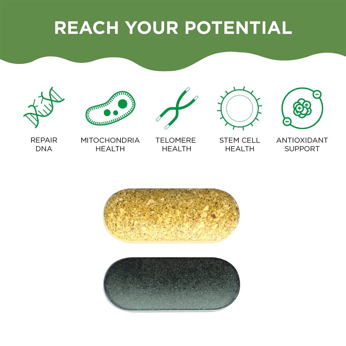 HealthyCell AM PM Healthspan Vitamins (30 day Supply) - Image 4